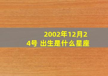 2002年12月24号 出生是什么星座